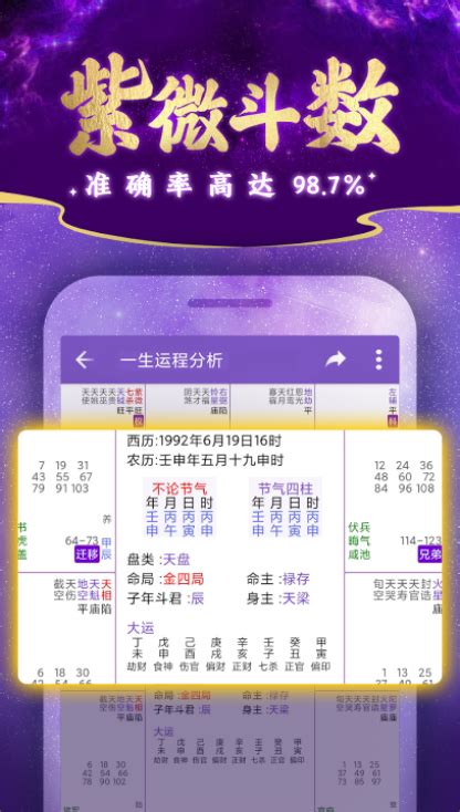 紫微格局查詢|紫微斗数在线排盘